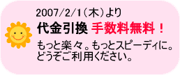 ����萔�������ɁI�I