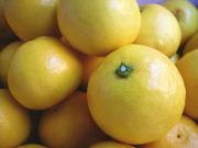 ���Ă̖��o�A�y�����Ă��ǂ����B