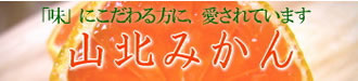 今年もやっぱり山北みかん♪