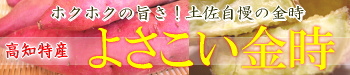 �z�N�z�N���������悳���������̃y�[�W��
