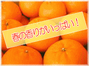 �ۂ񂩂�