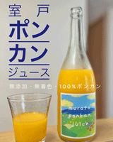 2023年作の丸搾りぽんかんジュース