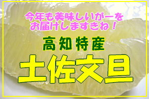 今年も大好き！土佐文旦はこちらから！