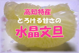 一番はじめの甘～い文旦♪水晶ぶんたんはこちら！