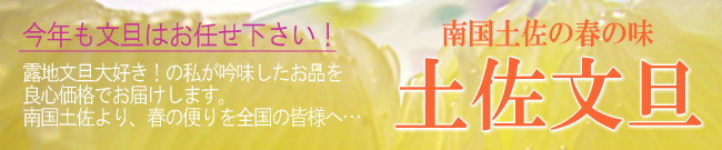 yu^ʔ̂Ă܂