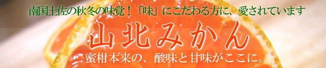 山北みかんを良心価格で通信販売しています