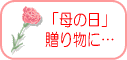 ̓̑蕨ɂǂ