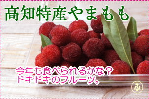 懐かしの味・やまももをお届けします